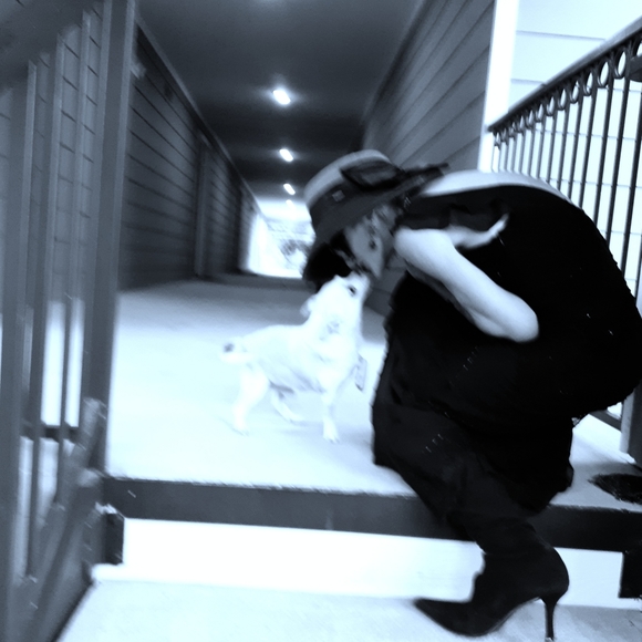 Meet your Posher, Lisa - Picture 3 of 15